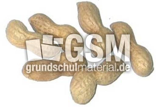 Erdnüsse-1x6.jpg